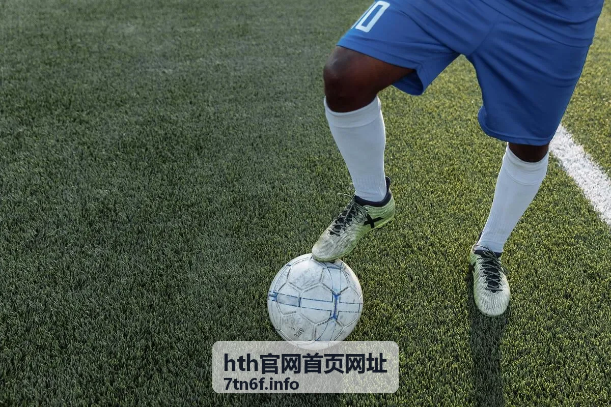 hth官网首页网址入口导航指引图